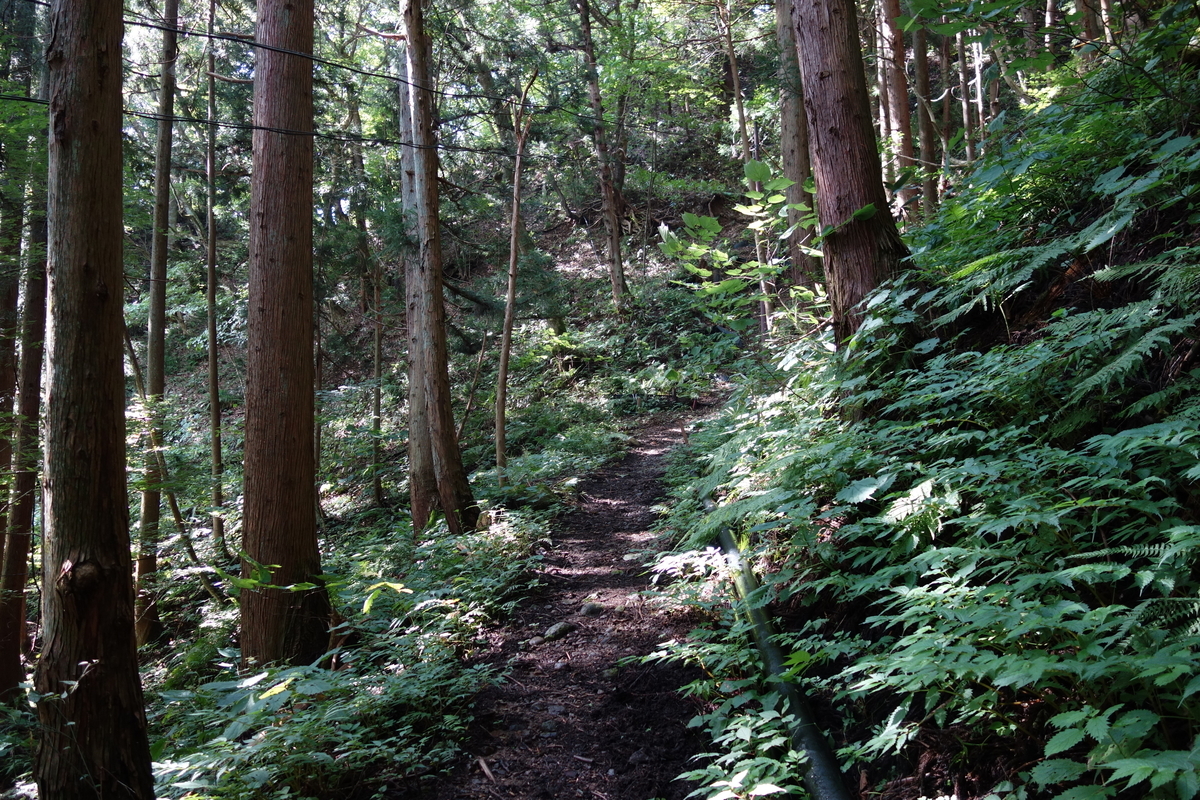 f:id:UrushiUshiru:20190908152005j:plain f:id:UrushiUshiru:20190908152005j:plain