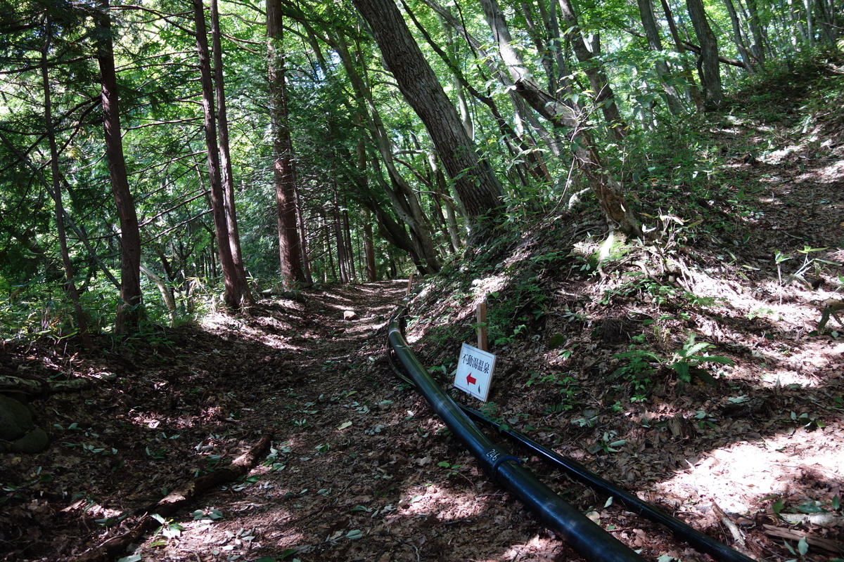 f:id:UrushiUshiru:20190908152017j:plain f:id:UrushiUshiru:20190908152017j:plain