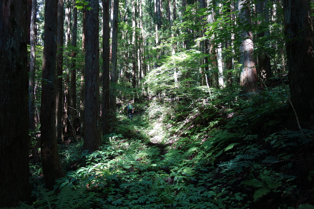 f:id:UrushiUshiru:20190908152711j:plain f:id:UrushiUshiru:20190908152711j:plain