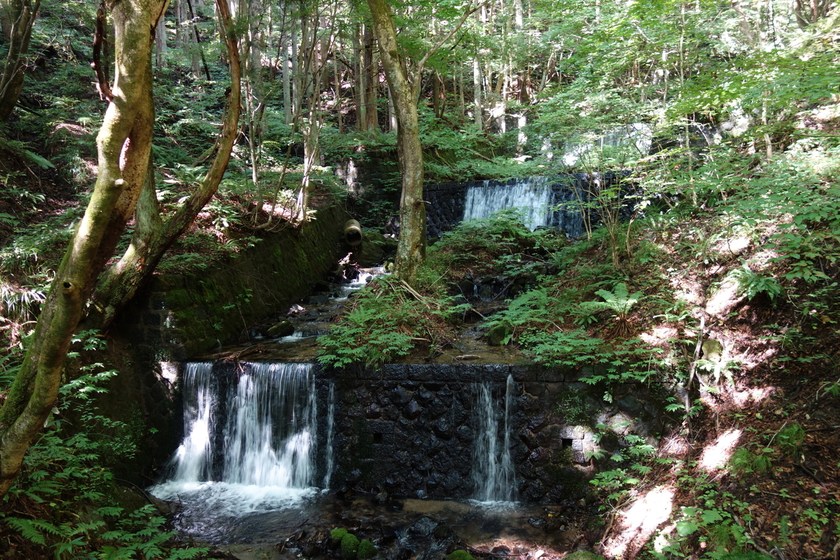 f:id:UrushiUshiru:20190908152915j:plain f:id:UrushiUshiru:20190908152915j:plain