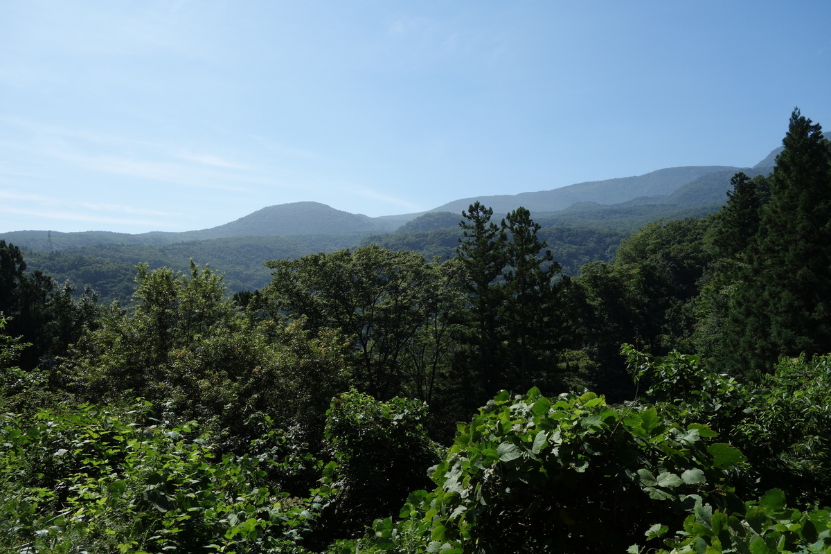 f:id:UrushiUshiru:20190908153107j:plain f:id:UrushiUshiru:20190908153107j:plain