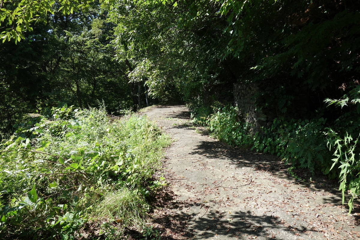 f:id:UrushiUshiru:20190908153118j:plain f:id:UrushiUshiru:20190908153118j:plain