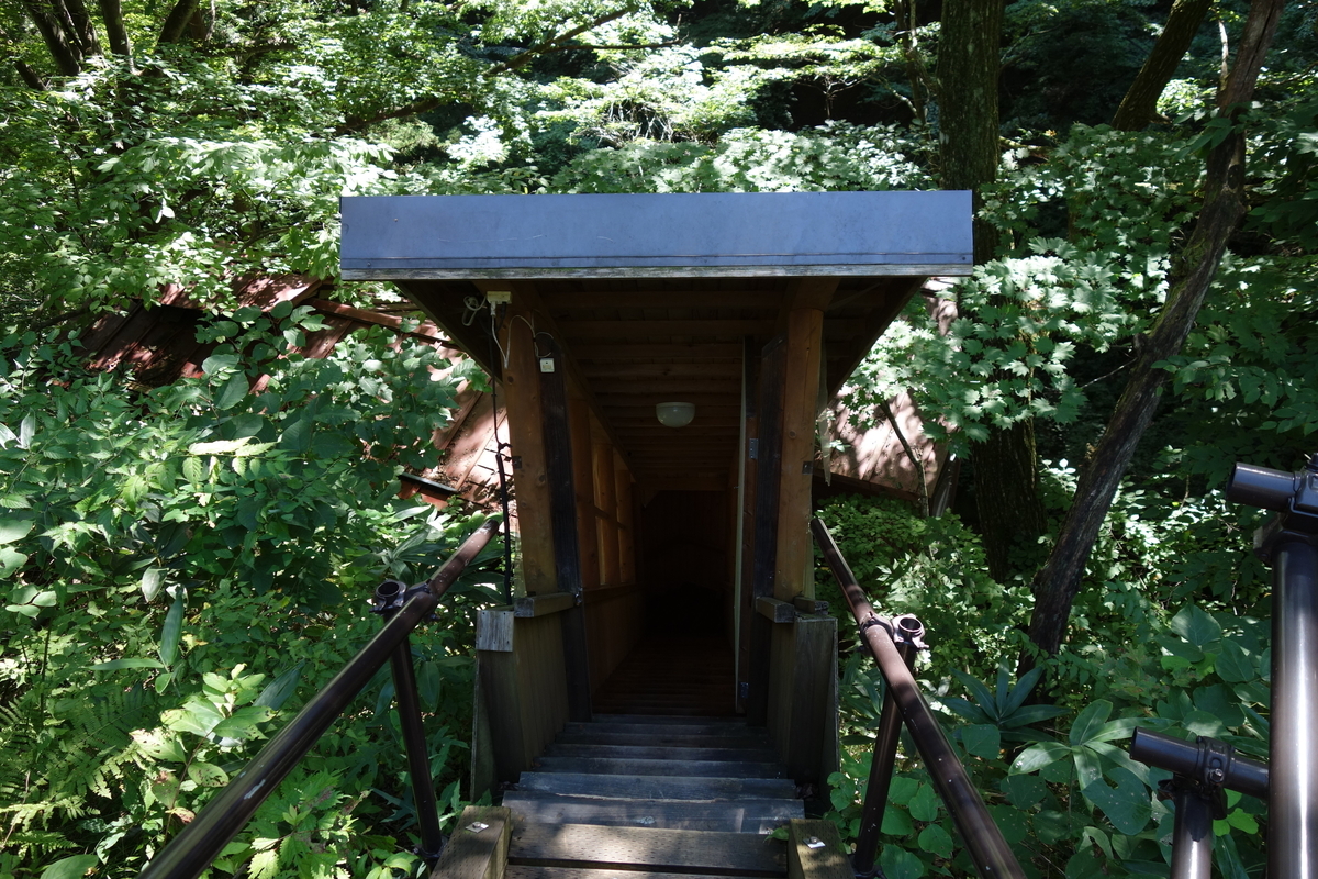 f:id:UrushiUshiru:20190908155815j:plain f:id:UrushiUshiru:20190908155815j:plain