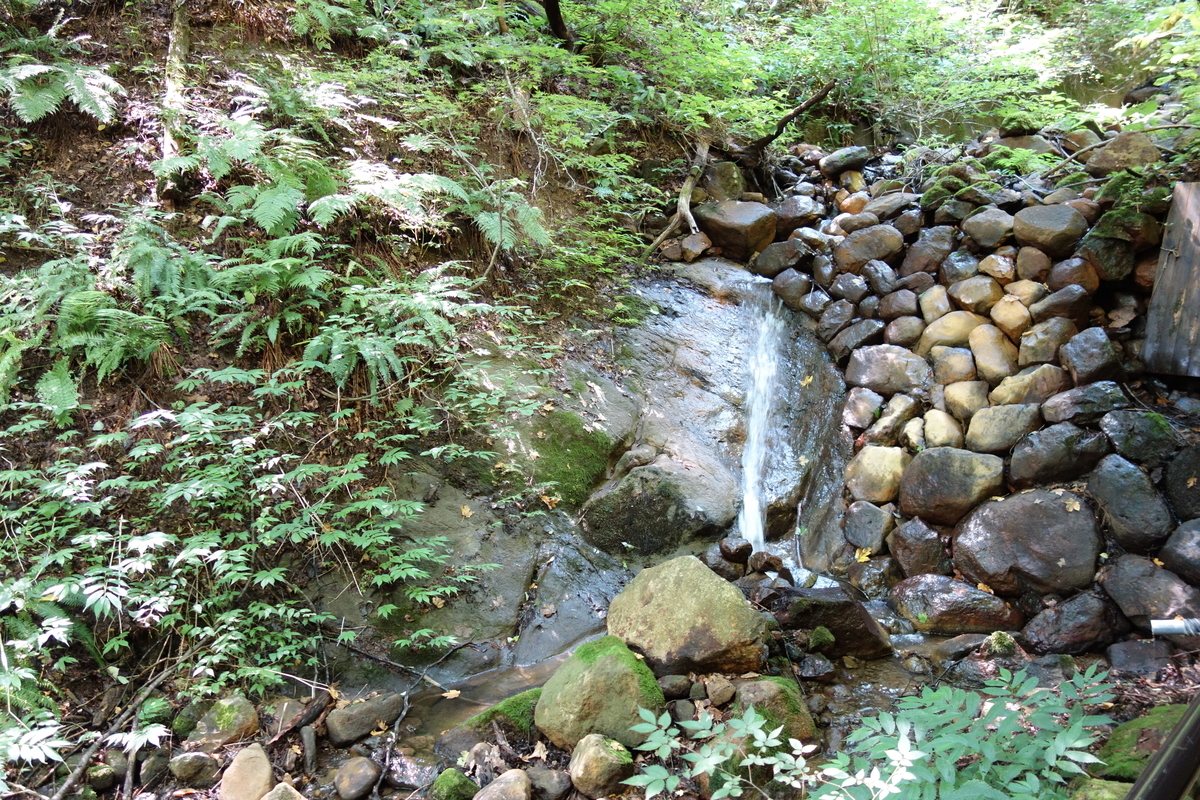 f:id:UrushiUshiru:20190908180254j:plain f:id:UrushiUshiru:20190908180254j:plain