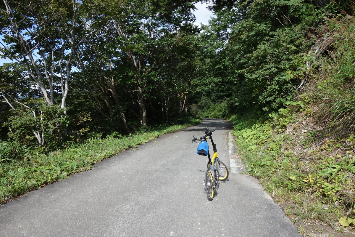f:id:UrushiUshiru:20190919012620j:plain f:id:UrushiUshiru:20190919012620j:plain