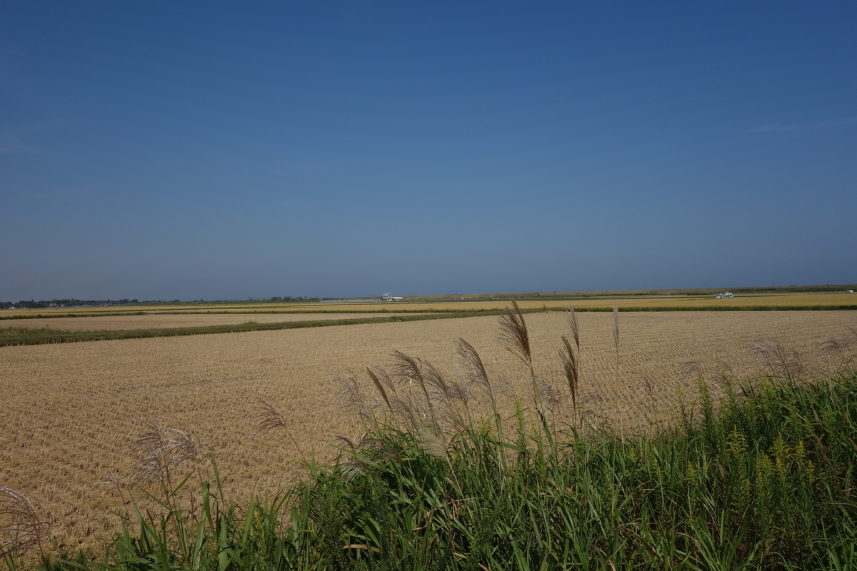 f:id:UrushiUshiru:20191005005420j:plain f:id:UrushiUshiru:20191005005420j:plain