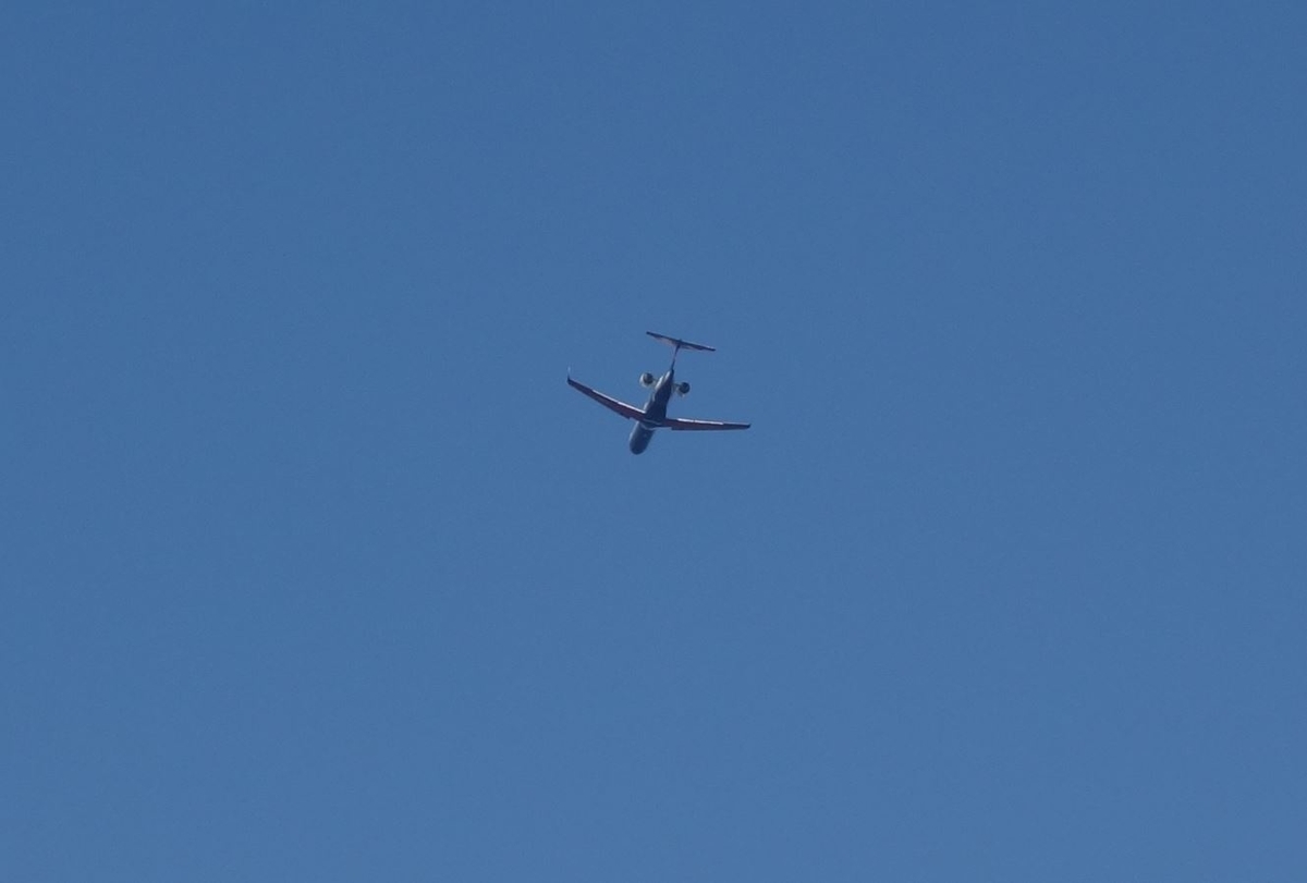 f:id:UrushiUshiru:20191005005924j:plain f:id:UrushiUshiru:20191005005924j:plain