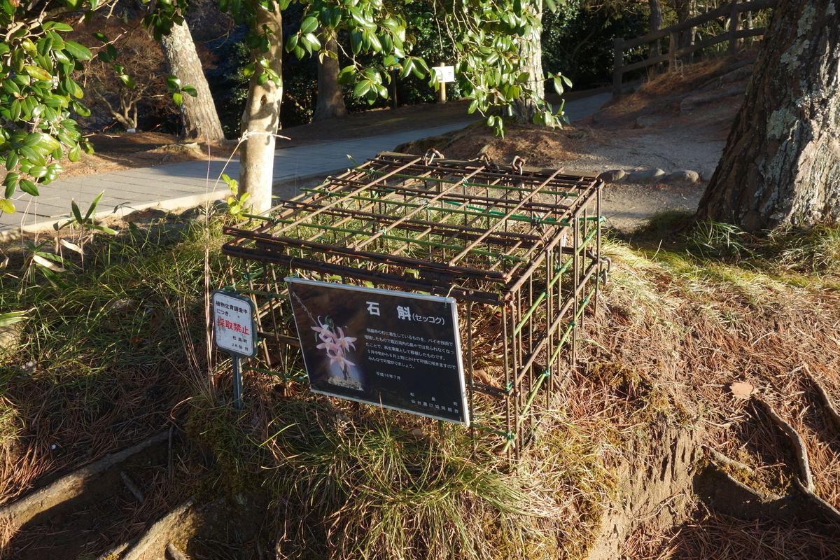 f:id:UrushiUshiru:20200118150518j:plain f:id:UrushiUshiru:20200118150518j:plain