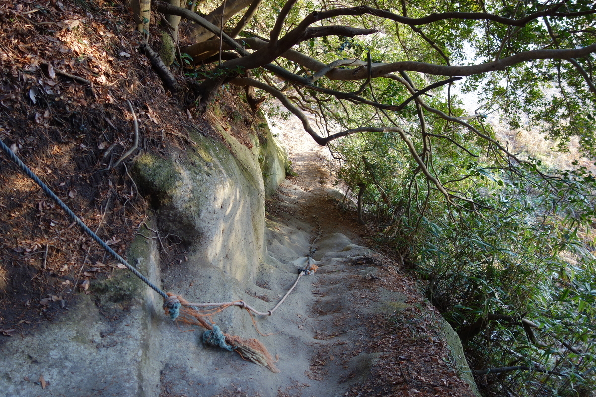 f:id:UrushiUshiru:20200118150958j:plain f:id:UrushiUshiru:20200118150958j:plain