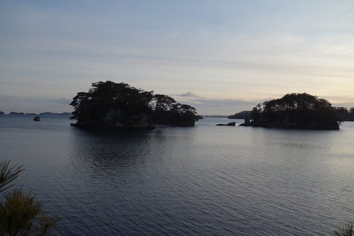 f:id:UrushiUshiru:20200118152651j:plain f:id:UrushiUshiru:20200118152651j:plain