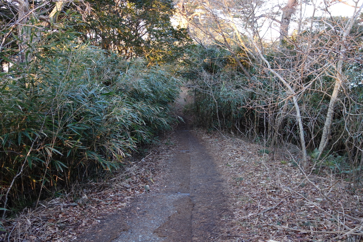 f:id:UrushiUshiru:20200118153302j:plain f:id:UrushiUshiru:20200118153302j:plain