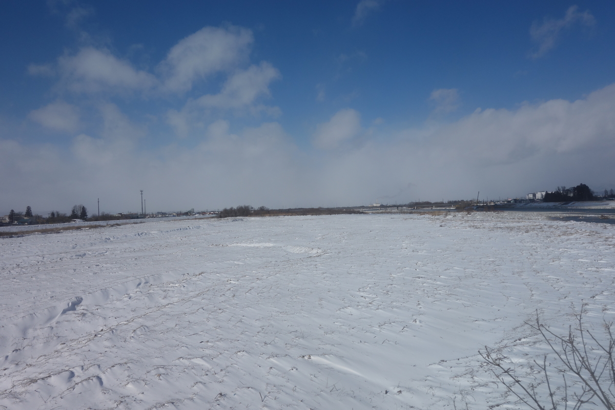 f:id:UrushiUshiru:20200210123502j:plain