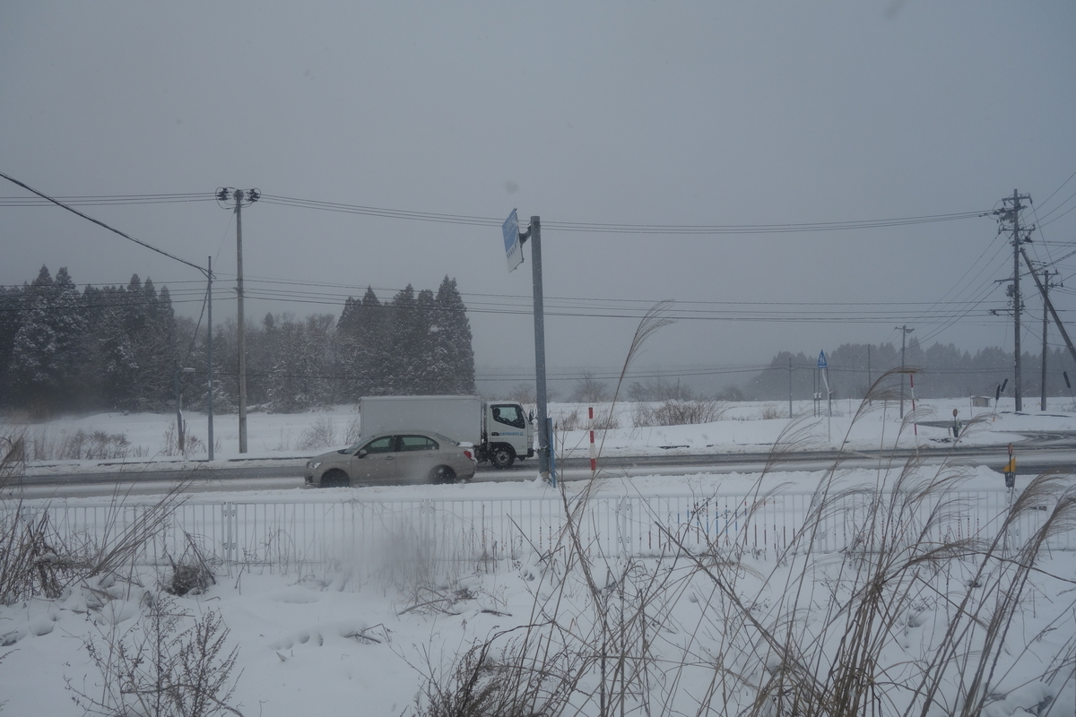 f:id:UrushiUshiru:20200210124503j:plain