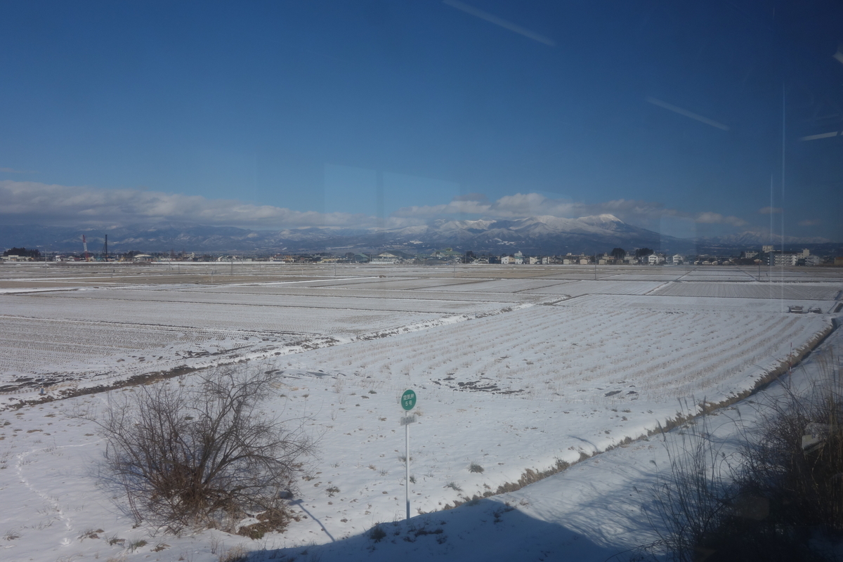 f:id:UrushiUshiru:20200210140139j:plain