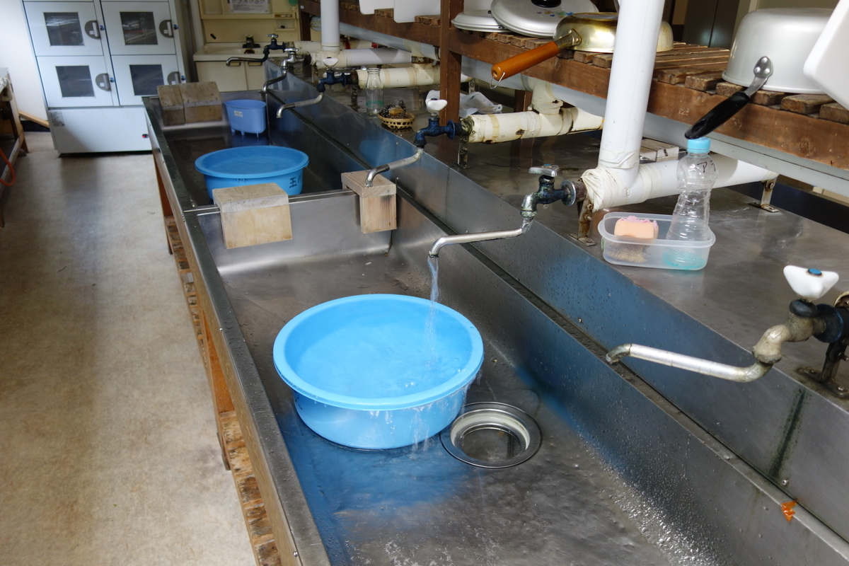 f:id:UrushiUshiru:20200929154736j:plain