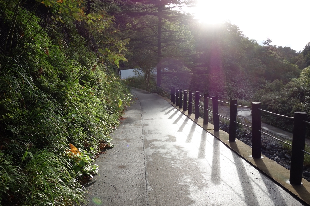 f:id:UrushiUshiru:20201010022920j:plain