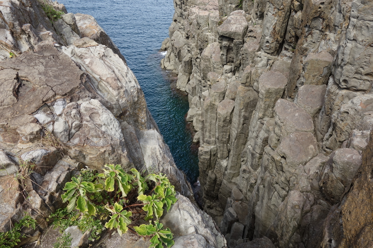 東尋坊温泉 サンセットガーデン 風の杜 日本海に沈む夕日が見られる温泉旅館に宿泊しましたの 元it土方の供述 東尋坊温泉 サンセットガーデン 風の杜 日本海に沈む夕日が見られる温泉旅館に宿泊しましたの 元it土方の供述