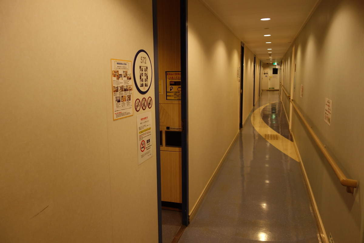 f:id:UrushiUshiru:20201213042331j:plain