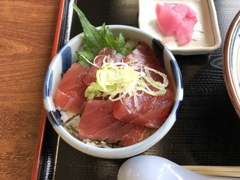 f:id:UrushiUshiru:20201219210554j:plain