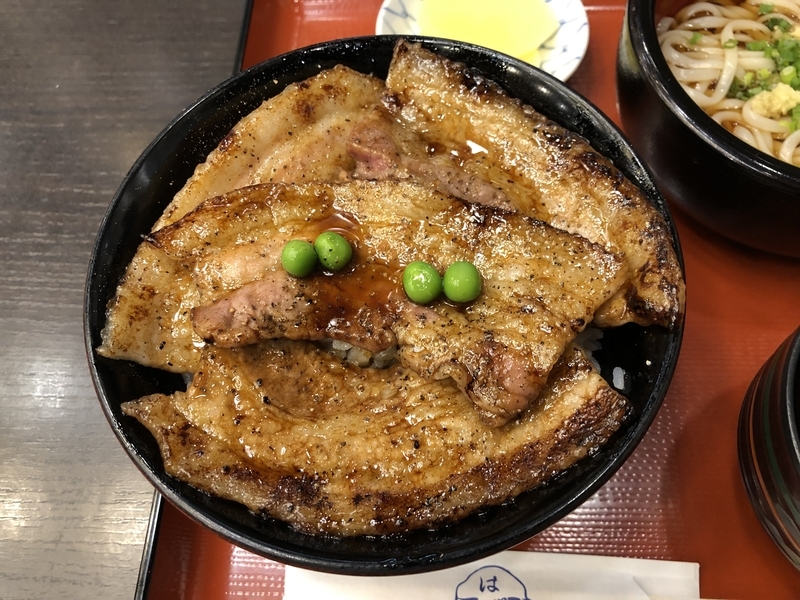 f:id:UrushiUshiru:20210902220223j:plain