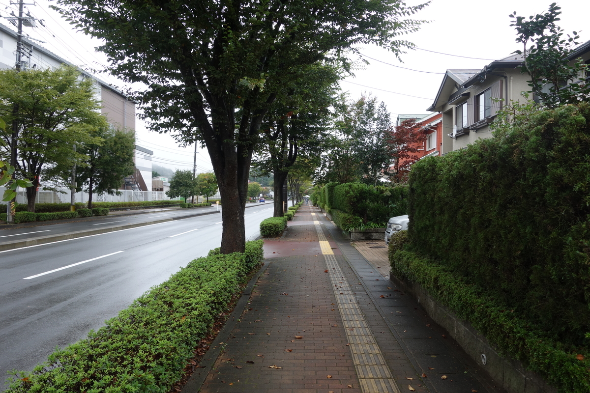 f:id:UrushiUshiru:20211101233433j:plain