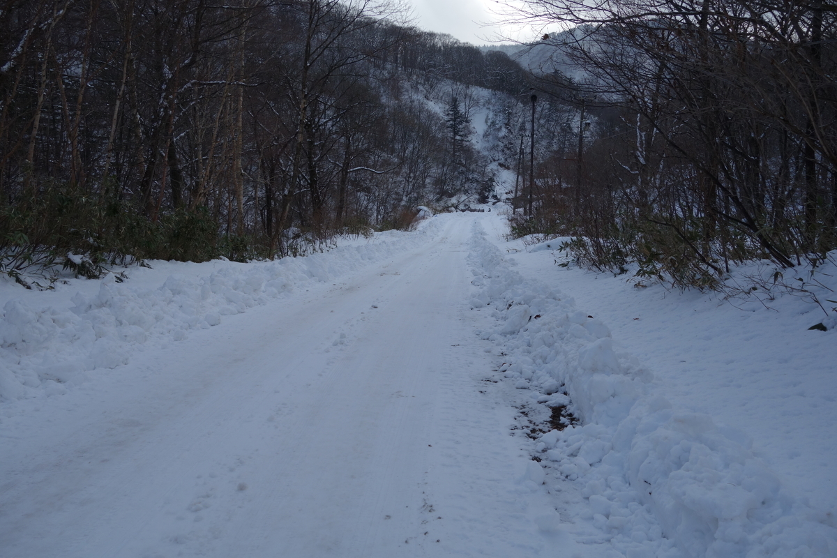 f:id:UrushiUshiru:20220106035901j:plain