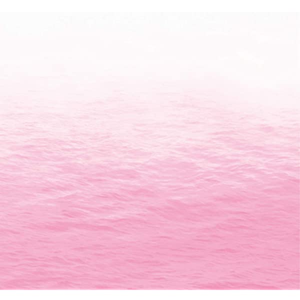 f:id:UshiroM:20201222223814j:plain