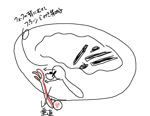 f:id:Usk26N:20180123144056j:image