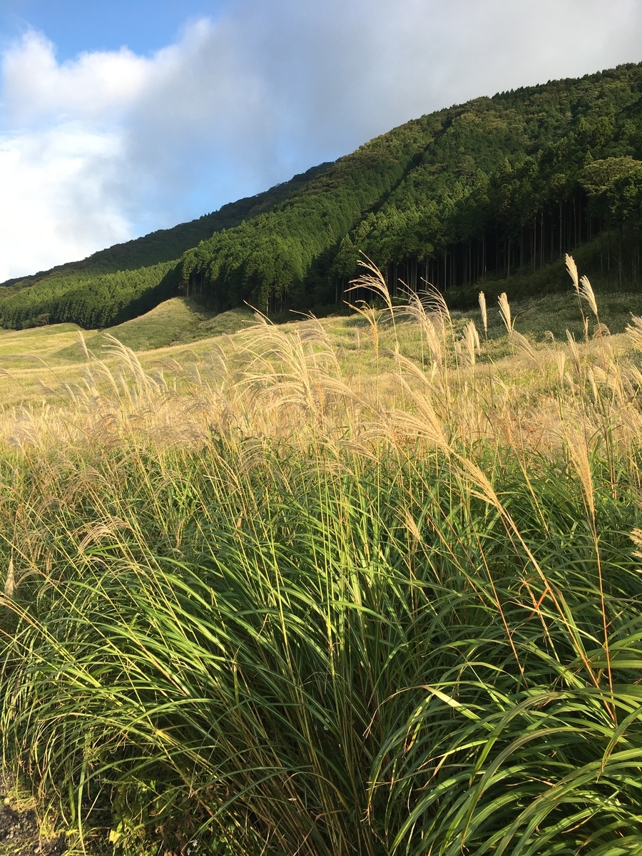 f:id:UsukeTravel:20211016182956j:plain