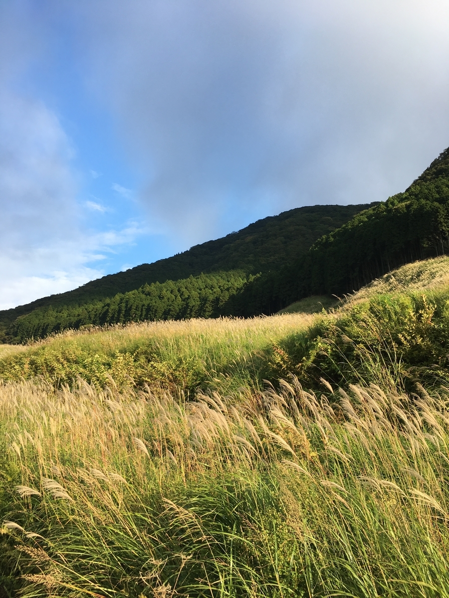 f:id:UsukeTravel:20211016183015j:plain