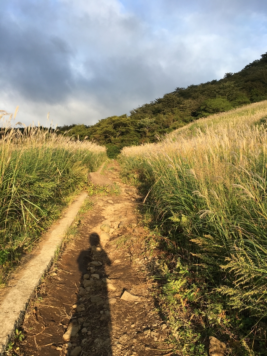 f:id:UsukeTravel:20211016183029j:plain