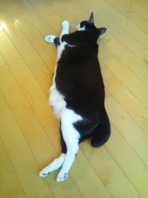 f:id:Utasan:20110827063218j:image