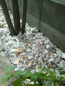 f:id:Utasan:20110828142550j:image