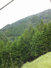 f:id:Utasan:20110924131435j:image