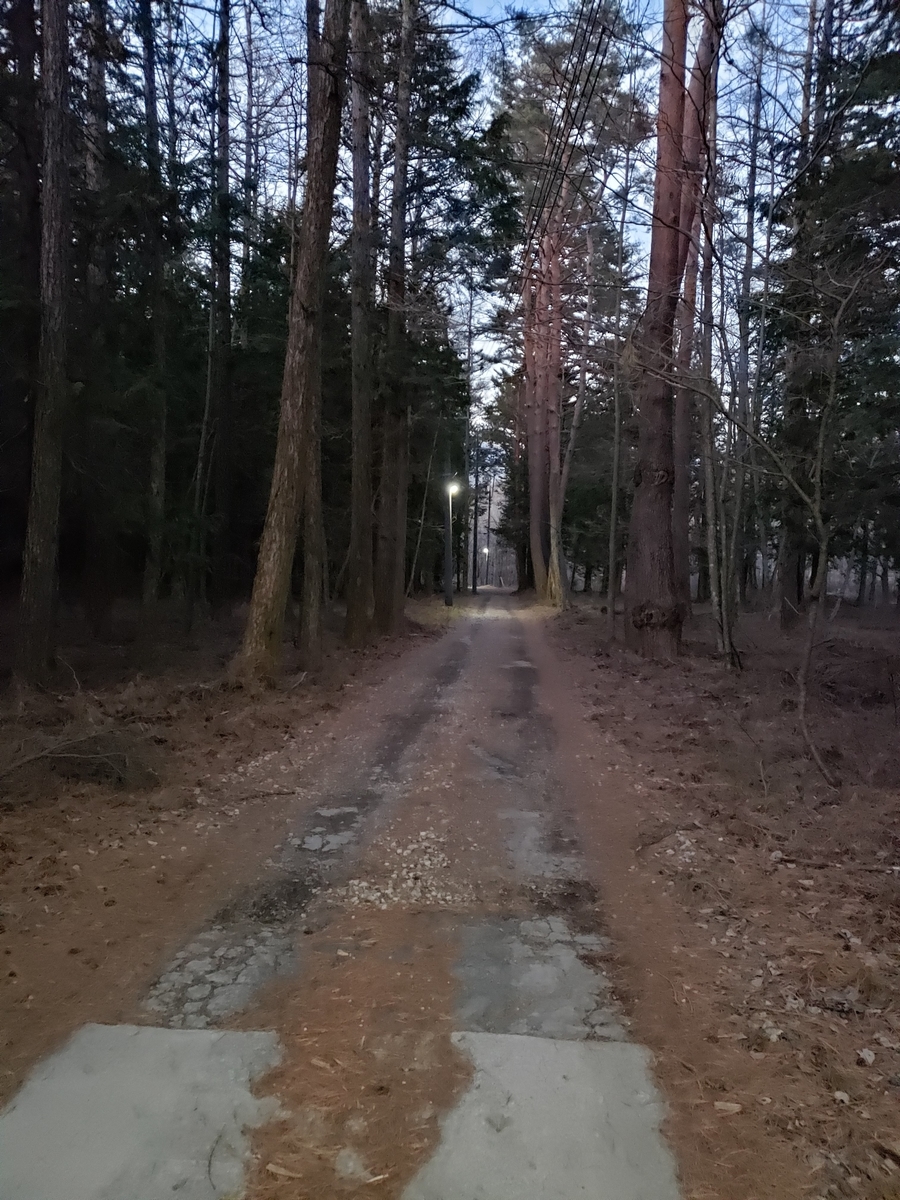f:id:V2monYasuo:20210617213710j:plain