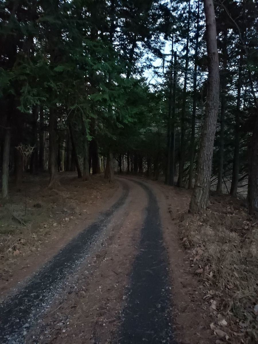 f:id:V2monYasuo:20210617213945j:plain