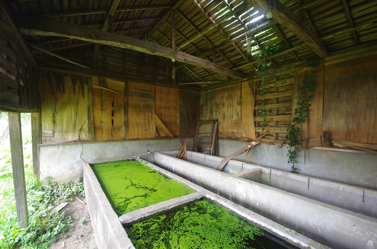 f:id:V3B4:20210619192139j:plain