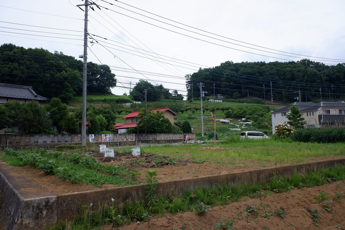 f:id:V3B4:20210619192225j:plain