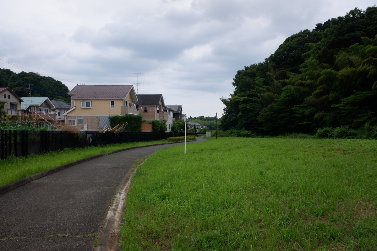 f:id:V3B4:20210619192237j:plain