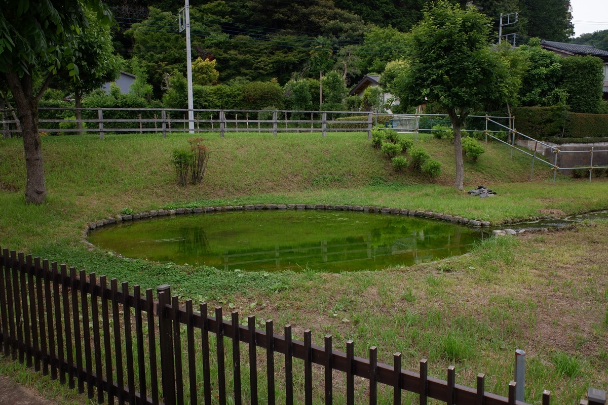 f:id:V3B4:20210619192302j:plain