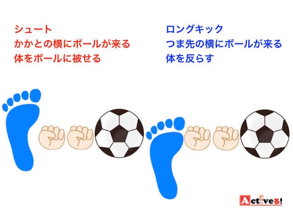f:id:VARAN:20200807034339j:image f:id:VARAN:20200807034339j:image