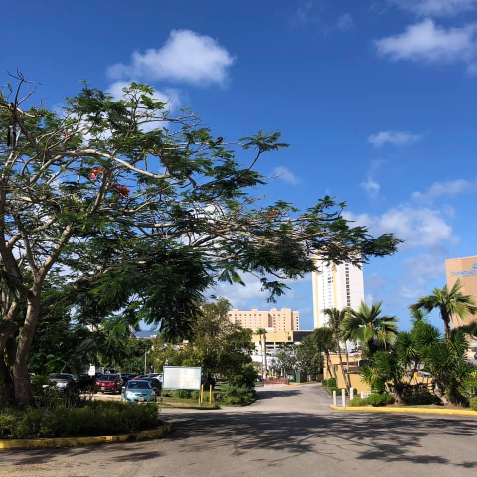 f:id:VAST:20190522020539j:plain f:id:VAST:20190522020539j:plain