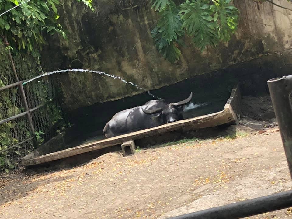 f:id:VAST:20190522020551j:plain f:id:VAST:20190522020551j:plain
