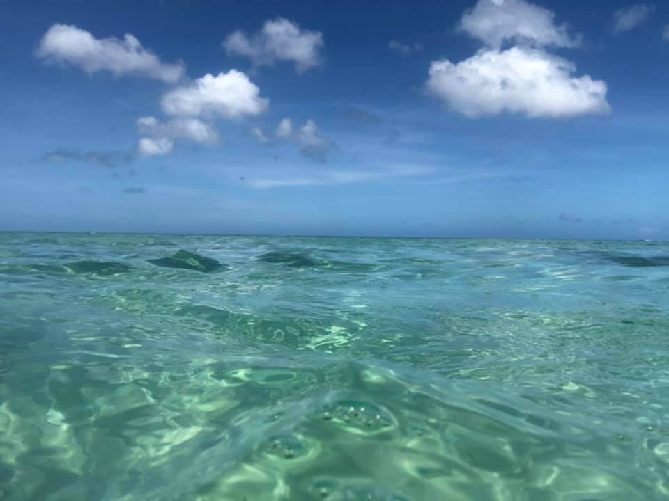 f:id:VAST:20190522020608j:plain f:id:VAST:20190522020608j:plain