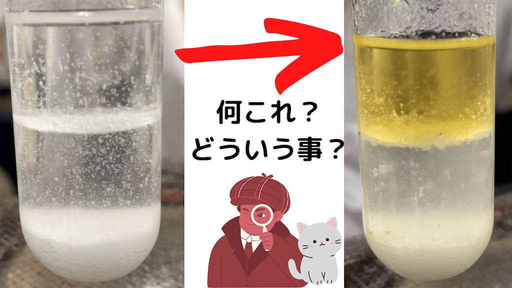 f:id:VCPteam:20220607220901p:image