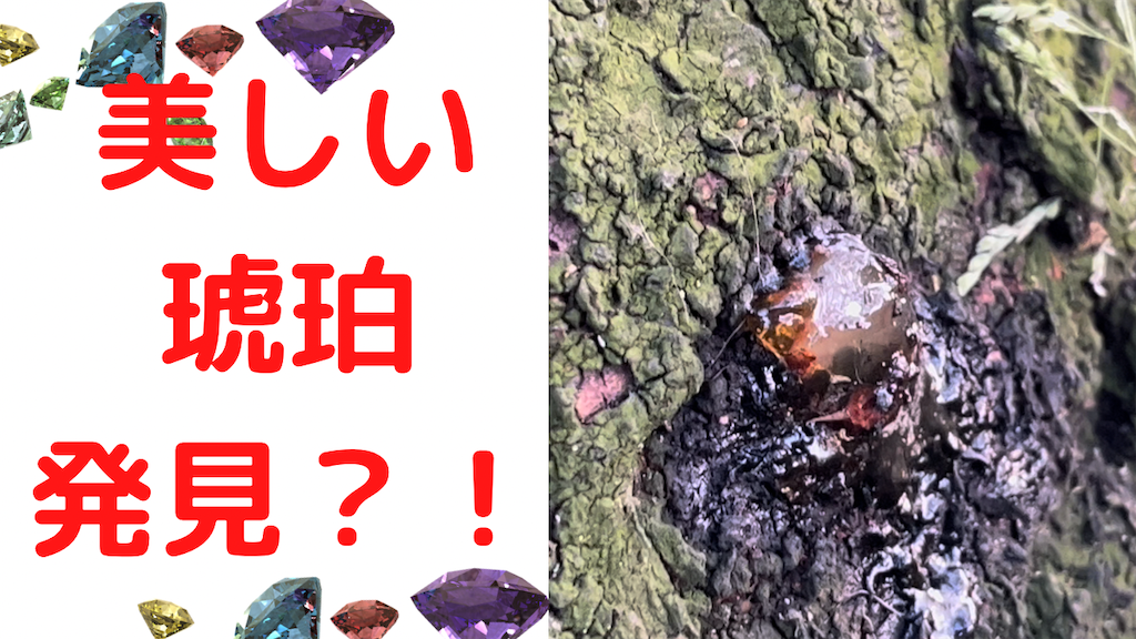 導管実体