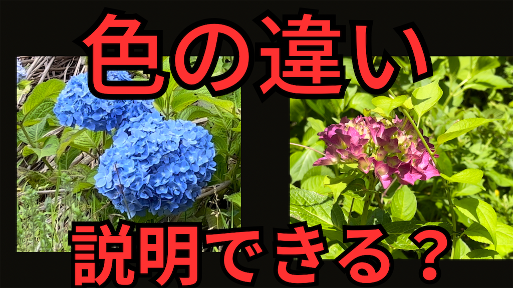f:id:VCPteam:20230617190943p:image