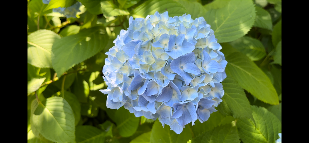 f:id:VCPteam:20230617190950p:image
