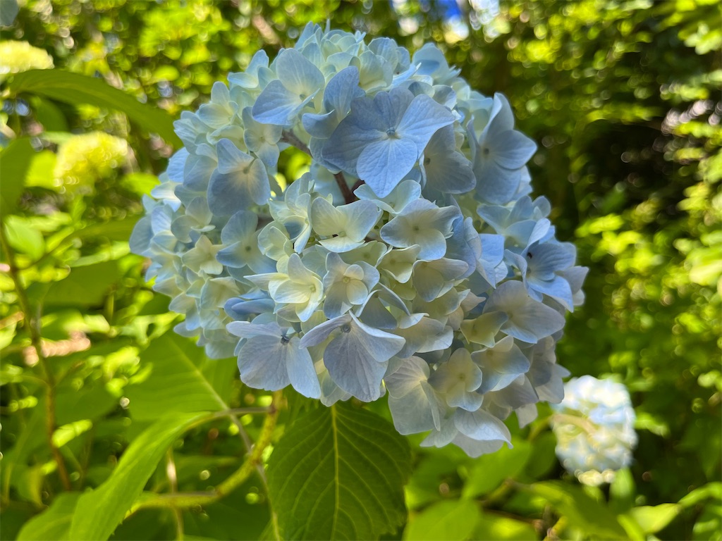 f:id:VCPteam:20230617191015j:image
