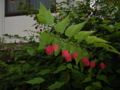 20101014142113